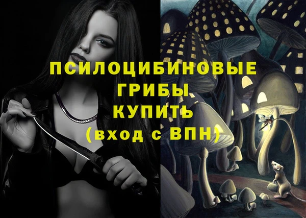 jwh Аркадак